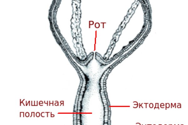 Ссылки магазинов для тор браузера BlackSprut