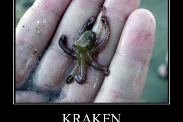 Как зайти в kraken через тор